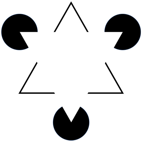Are We Just Seeing Illusions Instead of Reality? 3 photo 1 15948715475251956926554