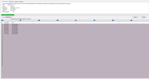 IDM download animation