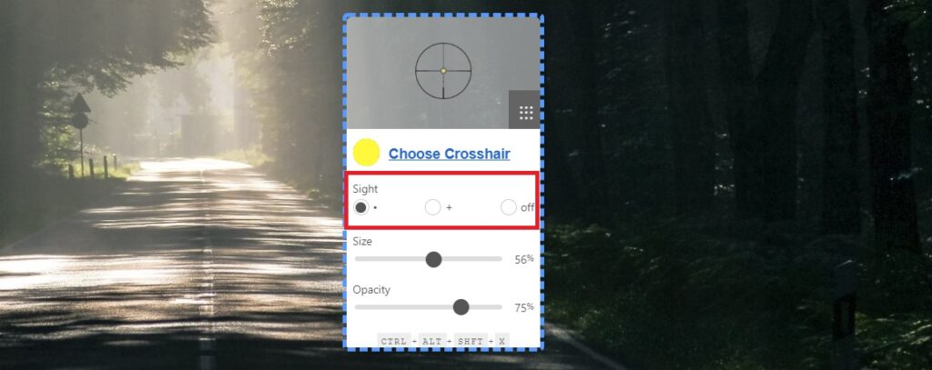 Sight options