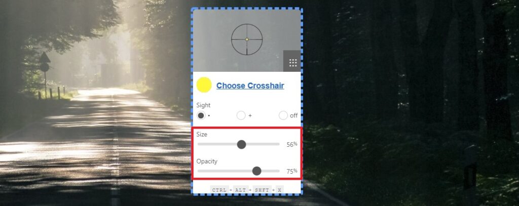 Size and opacity settings