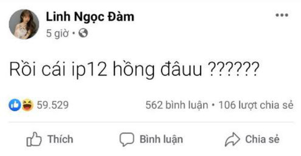 Linh Ngọc Đàm disappointed about iPhone 12 colors