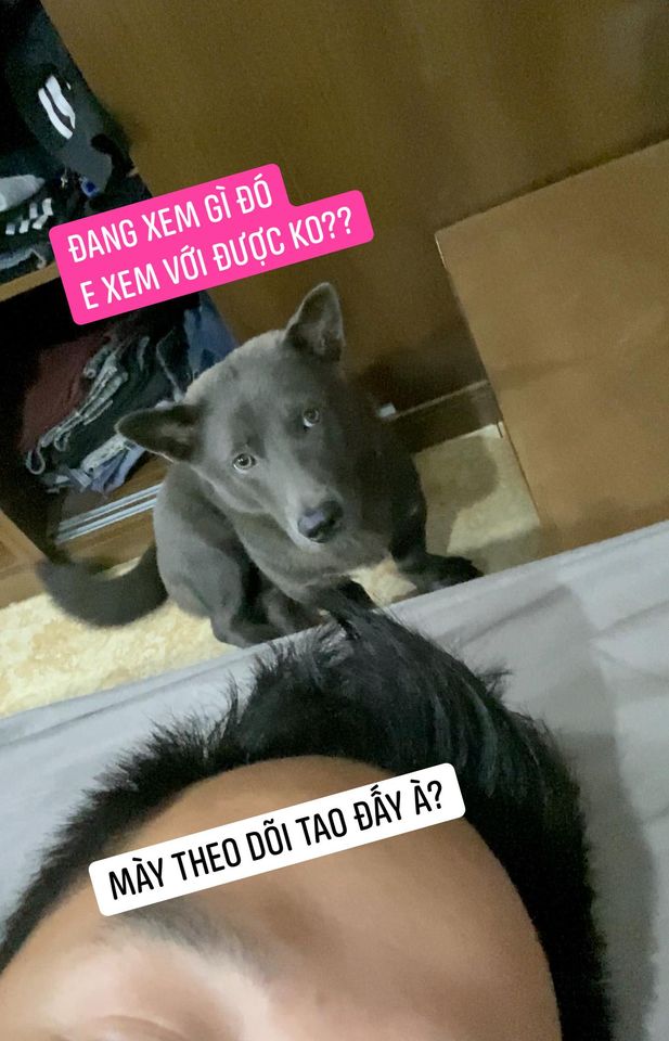 This info is fake. Dúi is still fit, happy, and living comfortably.