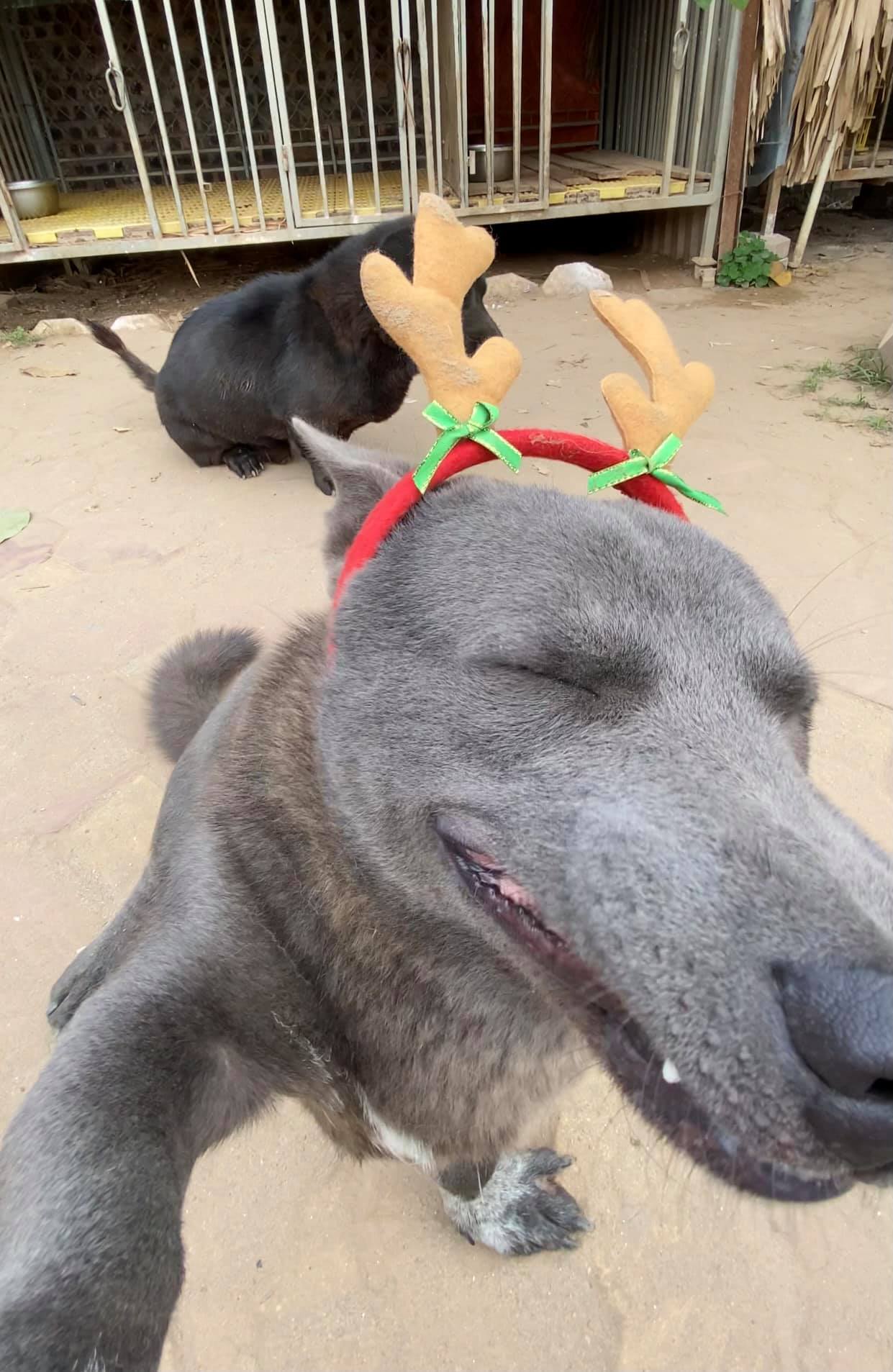 Nguyễn Văn Dúi’s Hilarious Christmas Selfies Surprise Fans 3 Nguyễn Văn Dúi’s selfies are just like a real person’s