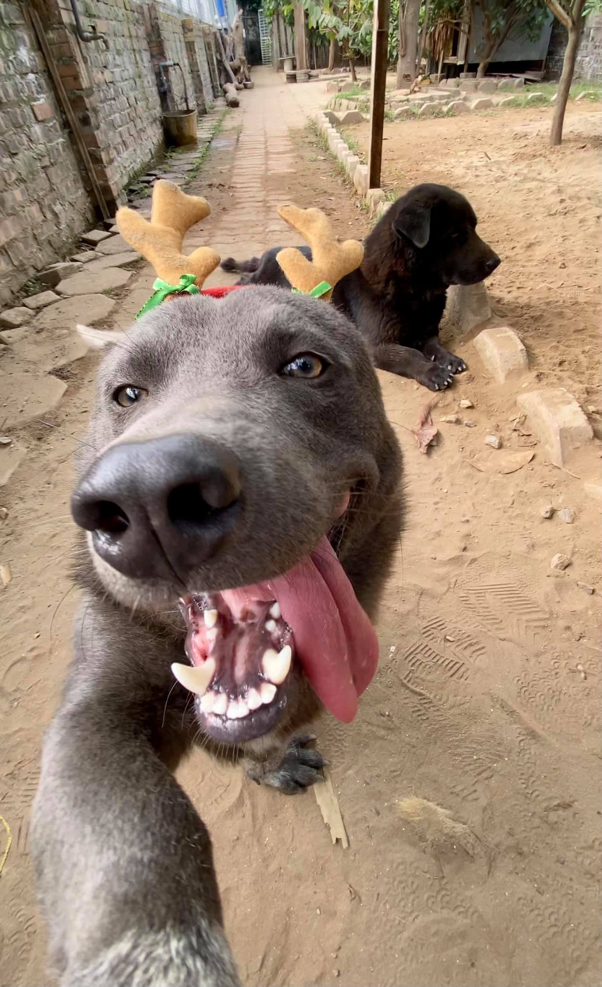 Nguyễn Văn Dúi’s Hilarious Christmas Selfies Surprise Fans 4 Masterful selfie expressions and poses