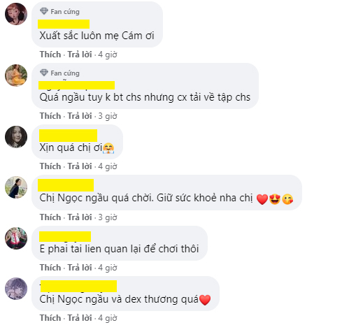 Fans are excited about Ninh Dương Lan Ngọc’s new collaboration plans.