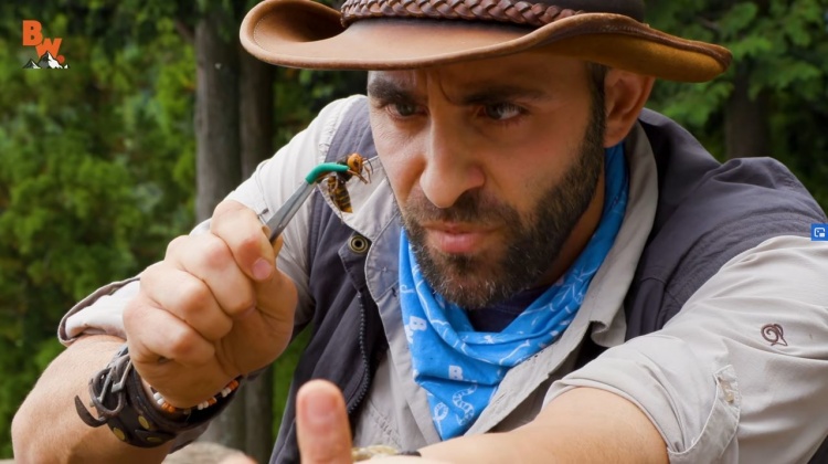 Now he takes on the venom of the Asian giant hornet