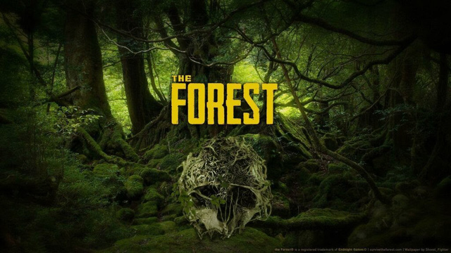 Top 10 Best Wilderness Survival Games on Steam Part 2 1 photo 1 16163096491871268466063