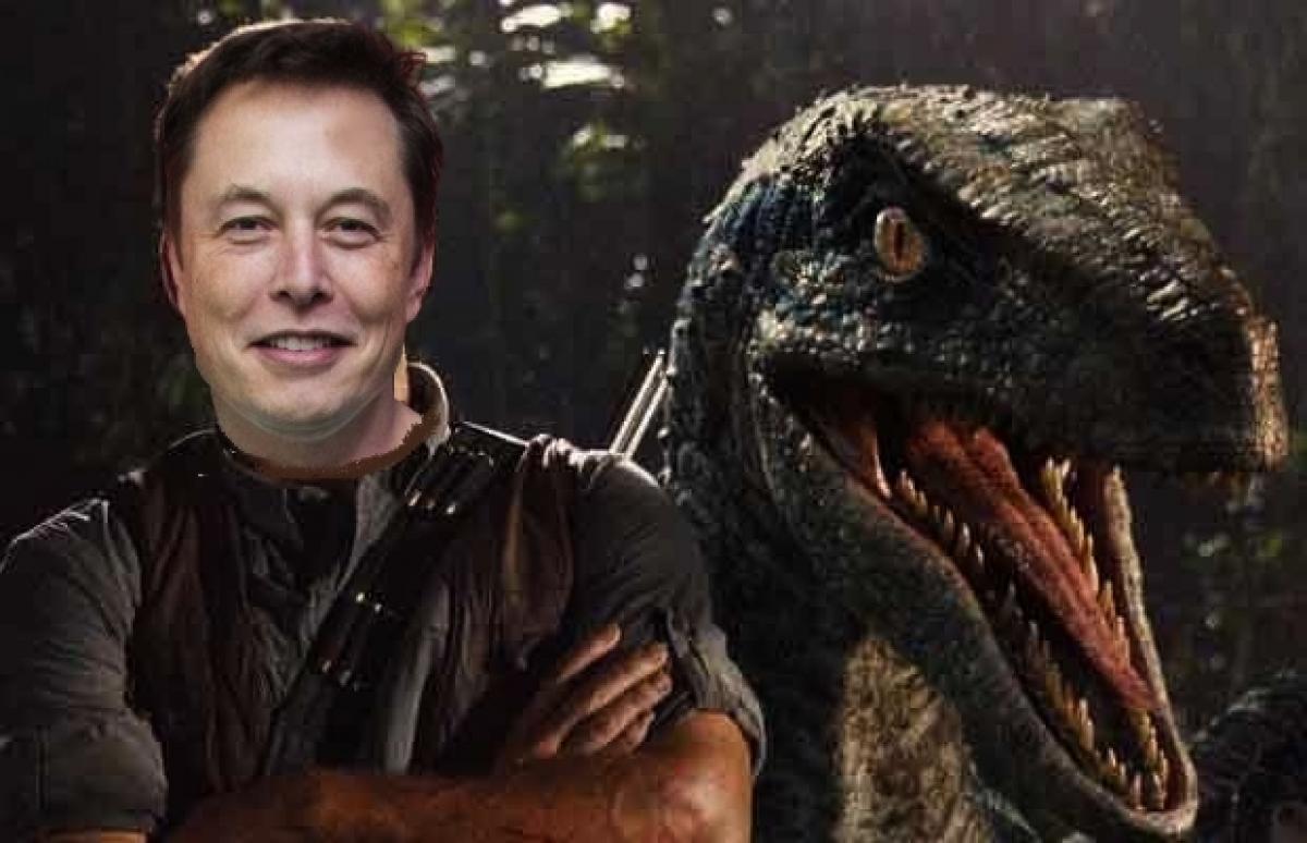 Elon Musk is confident about the feasibility of a real dinosaur park project