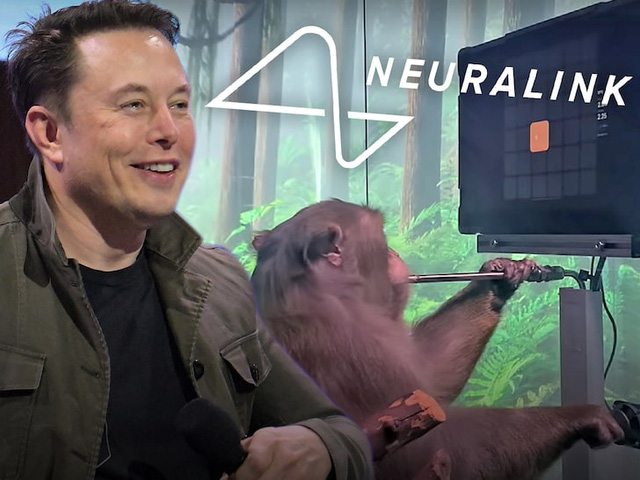 Elon Musk's monkey can play games, even if just simple ones