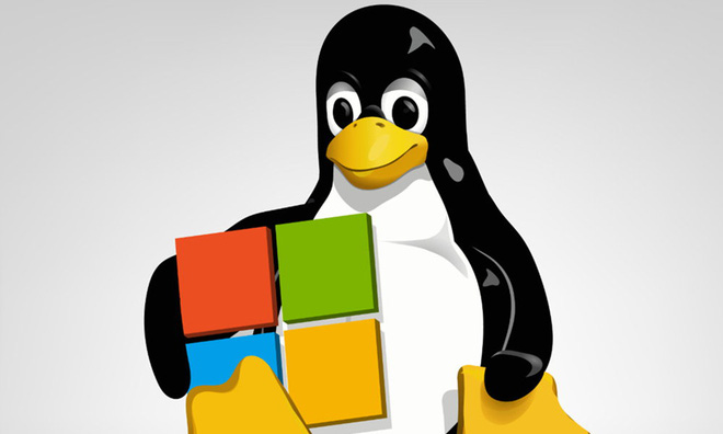 Why Linux Runs Space Missions While Windows Stays on Earth 5 photo 4 16176978925511077415544