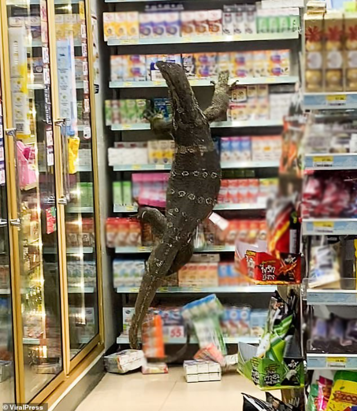 The scene caused quite a stir among customers