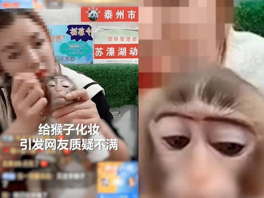 Streamer applying makeup on a monkey sparks online outrage
