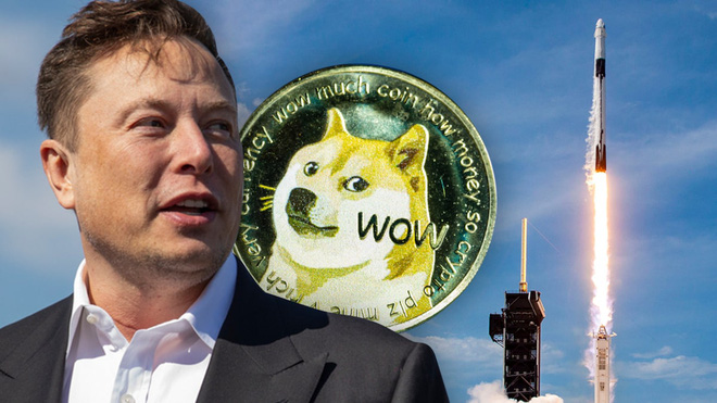 DOGE-1 satellite concept