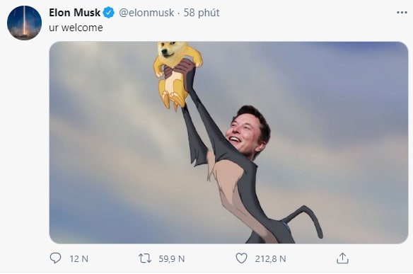 Elon Musk’s impact on coin values, especially Dogecoin