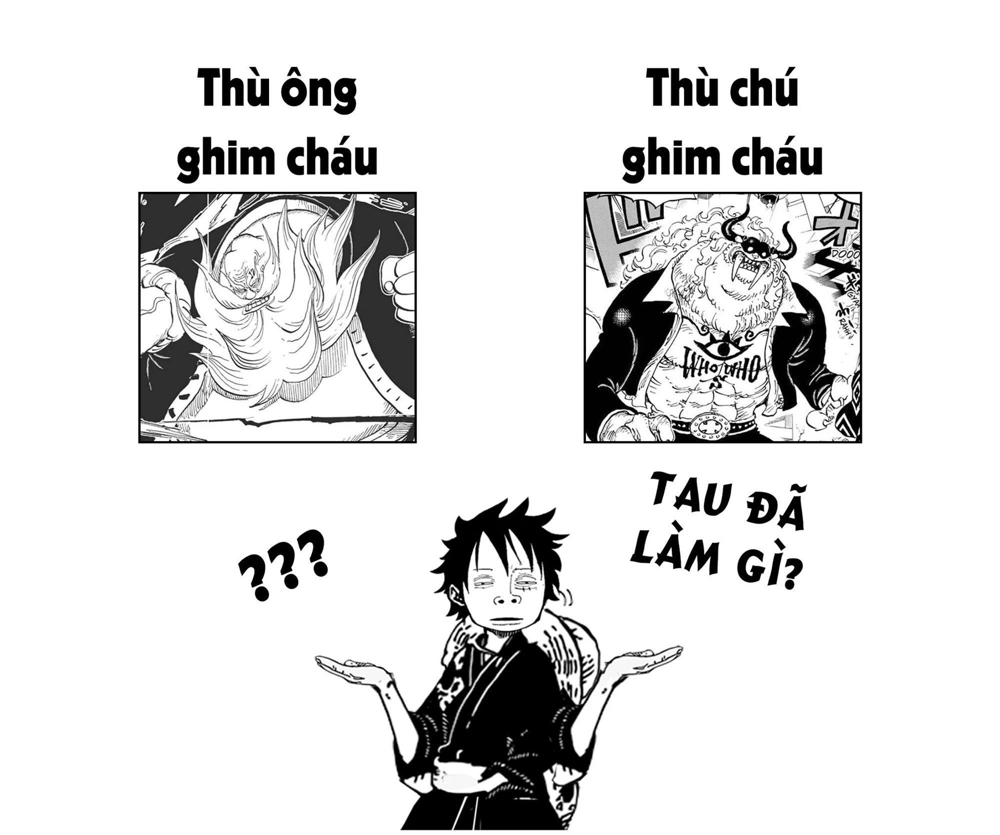 Image source: FC One Piece Vietnam