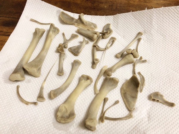 Gamer Crafts Epic Weapon Using KFC Chicken Bones 3 No one expected these discarded chicken bones