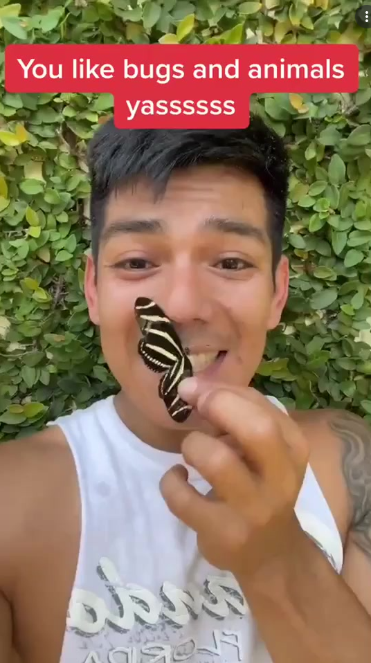 He’s famous for his insect-related videos