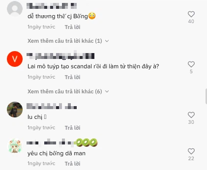Negative comments on Lê Bống's charity video