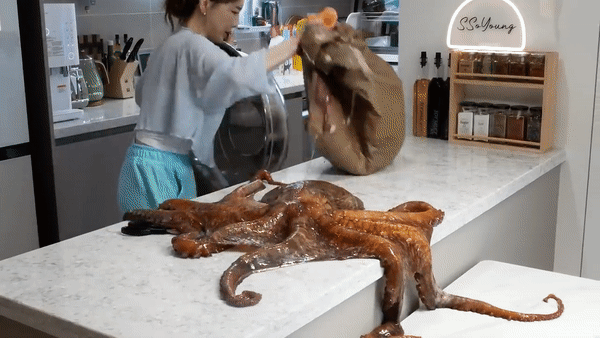 YouTuber Ssoyoung Struggles With 10kg Live Octopus Gift 5 Ssoyoung struggling with the giant octopus