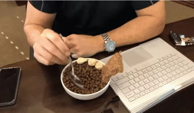 A whole month eating only dog food