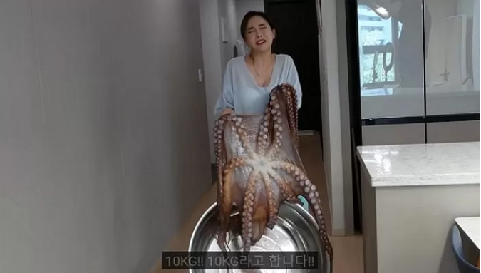 YouTuber Ssoyoung Struggles With 10kg Live Octopus Gift 3 Just lifting it up was a challenge