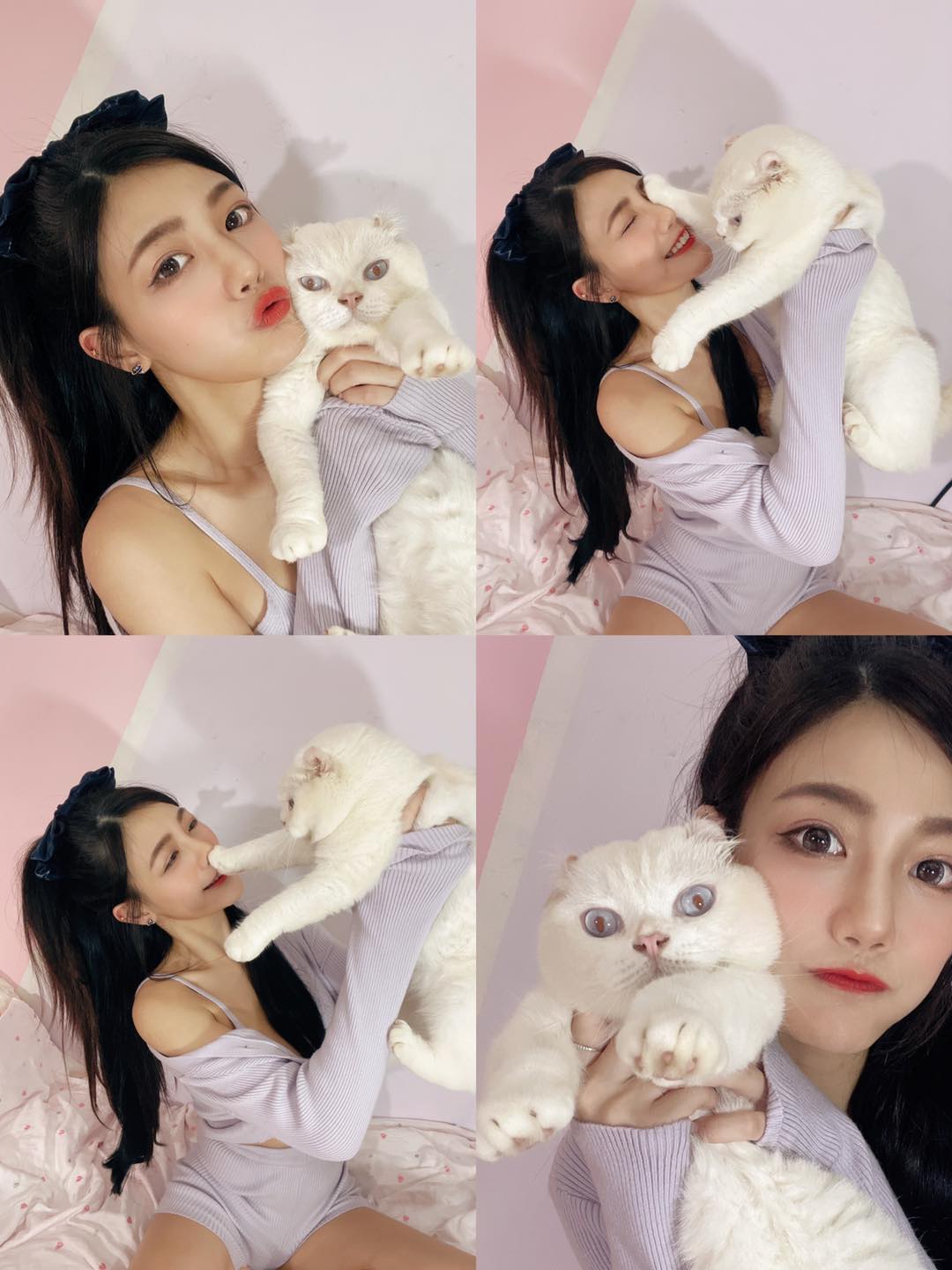 Hot Girl Chen Wei’s Cat Steals the Spotlight in Her Photos 4 The contrast between this pet and owner duo made them both famous