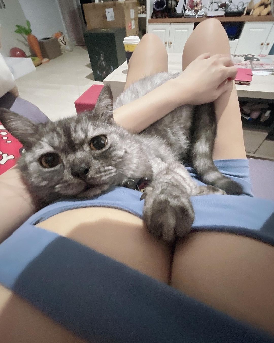 Fans wish they could be Vicky’s cat
