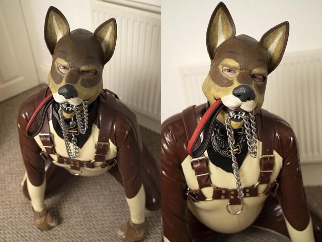 His unique 'human dog' outfit