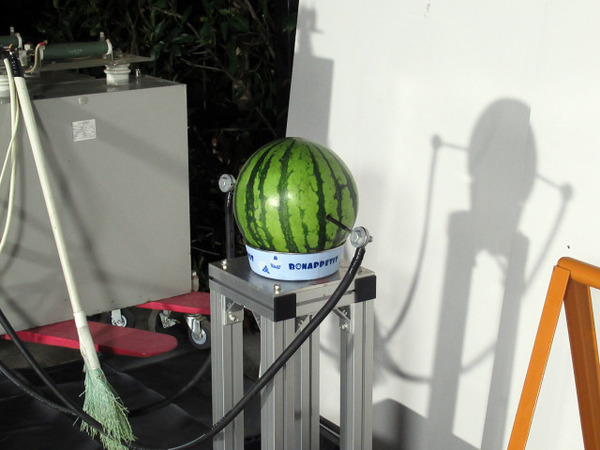 The YouTuber's watermelon cutting machine