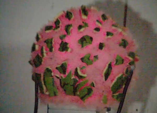 Watermelon shatters into hundreds of pieces