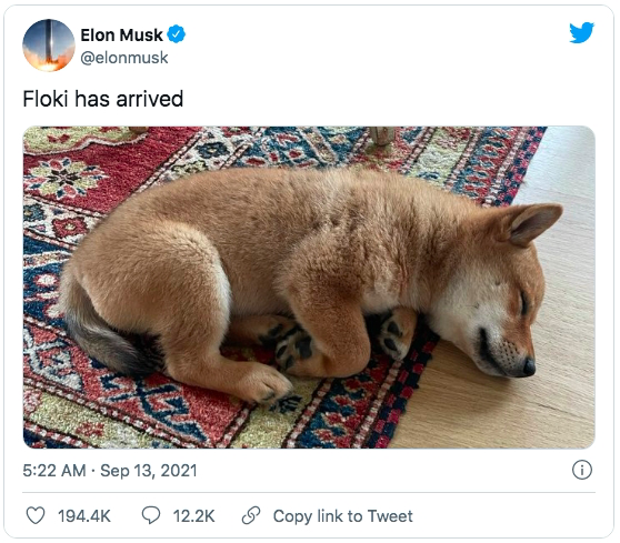 Elon Musk Sparks 1000% Surge in Floki Crypto with One Tweet 2 Elon Musk’s seemingly simple tweet