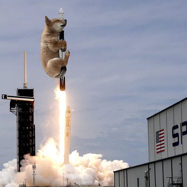 Elon Musk Sparks 1000% Surge in Floki Crypto with One Tweet 3 But it caused Floki-themed cryptocurrencies to surge dramatically