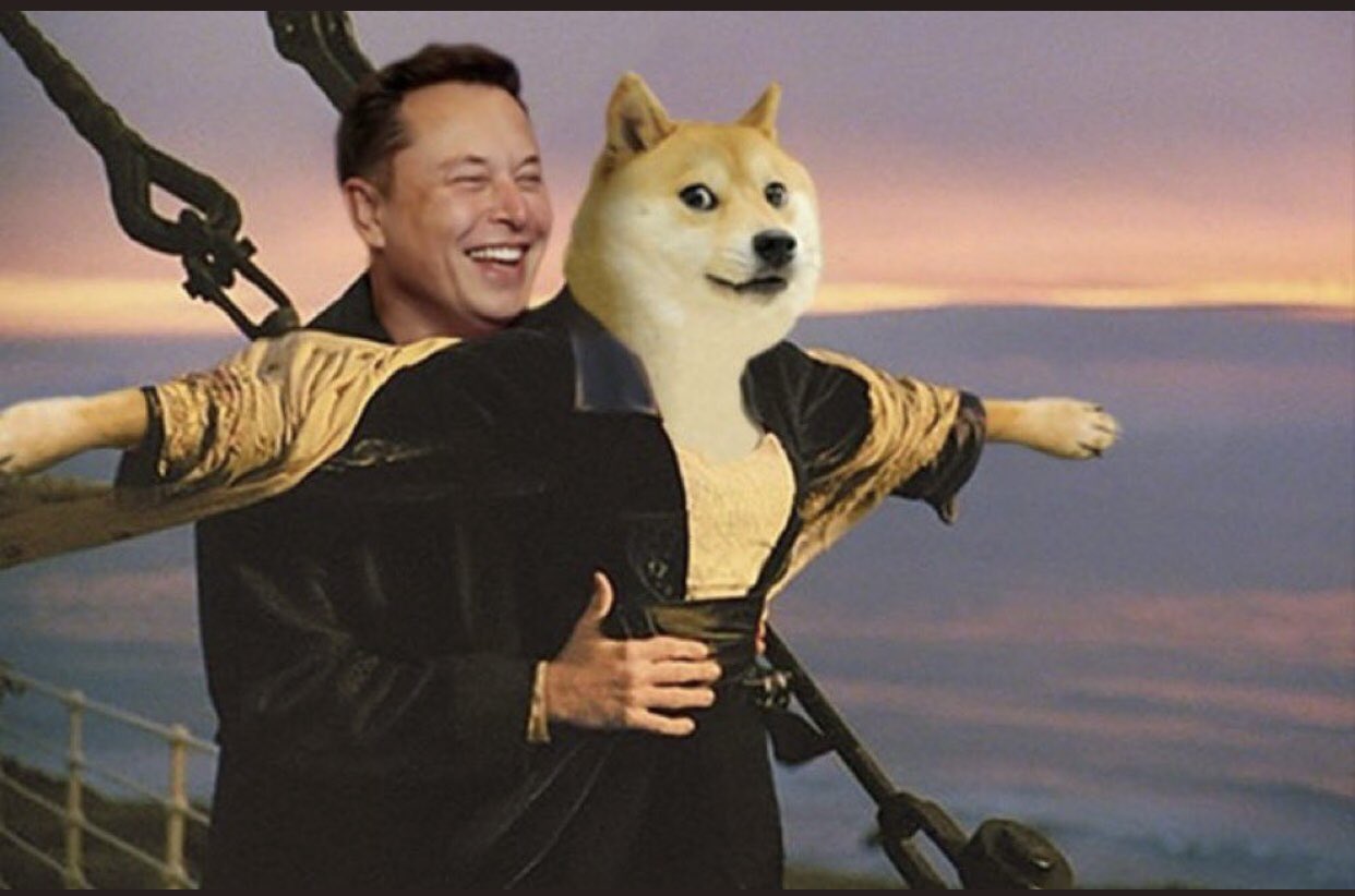Elon Musk Sparks 1000% Surge in Floki Crypto with One Tweet 4 Memes about Elon Musk and Dogecoin have flooded the internet