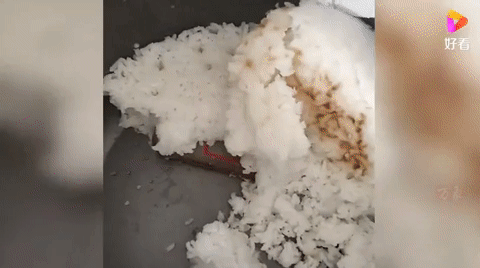 Close-up of digging the phone out of the rice
