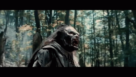 Aragorn deflects a knife in Lord of the Rings