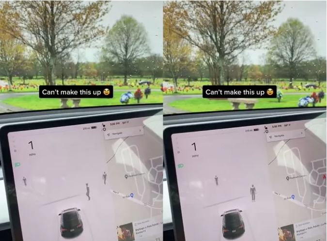 Screenshot captured by the TikToker in his video