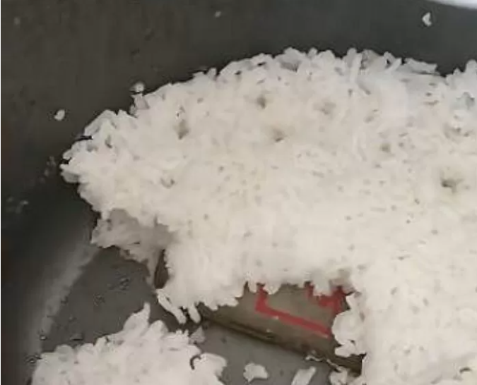 Strange object found inside the rice cooker