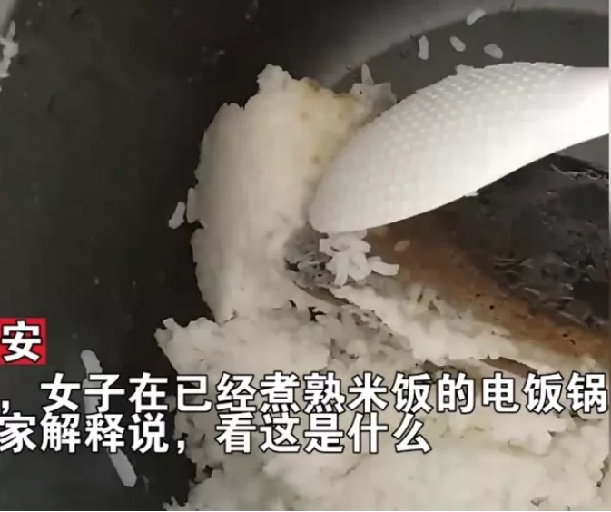 After digging through the burnt rice, the familiar shape of an iPhone appeared
