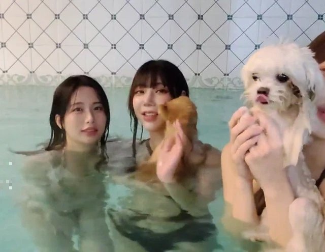 Streamer Momoro Faces Backlash for Bathing with Pets on Stream 3 The group streaming with their pets in the hot tub