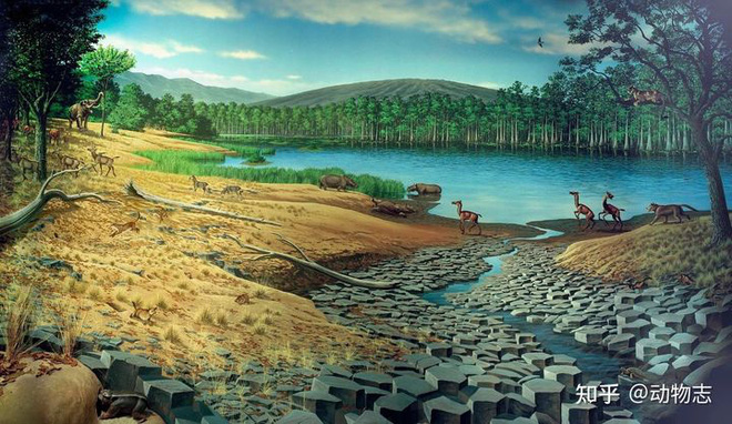 Climate change and competition