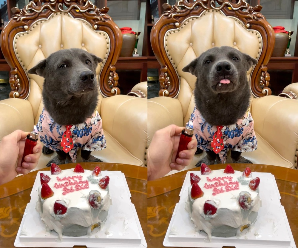 Nguyễn Dúi’s Funny Birthday Looks After 2 Years Online 2 photo 1 16388546713172143860135