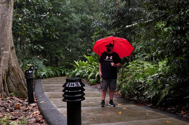 Man Attacked by 20 Otters While Jogging in Singapore Park 2 photo 1 1639477310691890369522