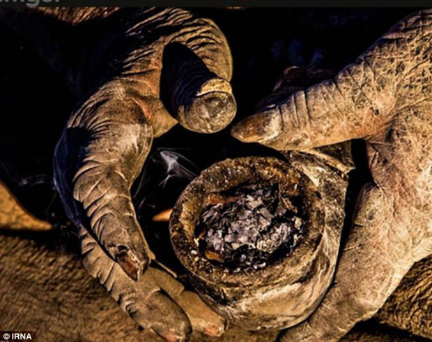 Meet Amou Haji, The Man Who Hasn't Bathed in 67 Years 5 photo 4 16392000622871825679466
