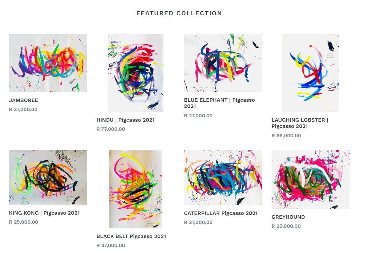 Pig Caso's own art exhibition