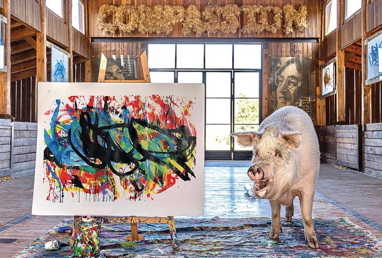 A recent Pig Caso artwork sold for over 600 million VND