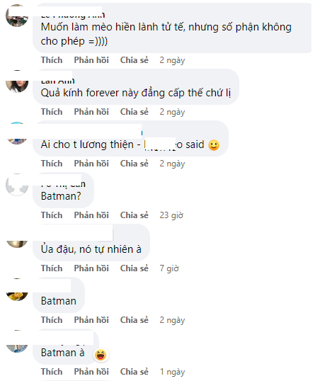 Accompanied by many funny and witty comments