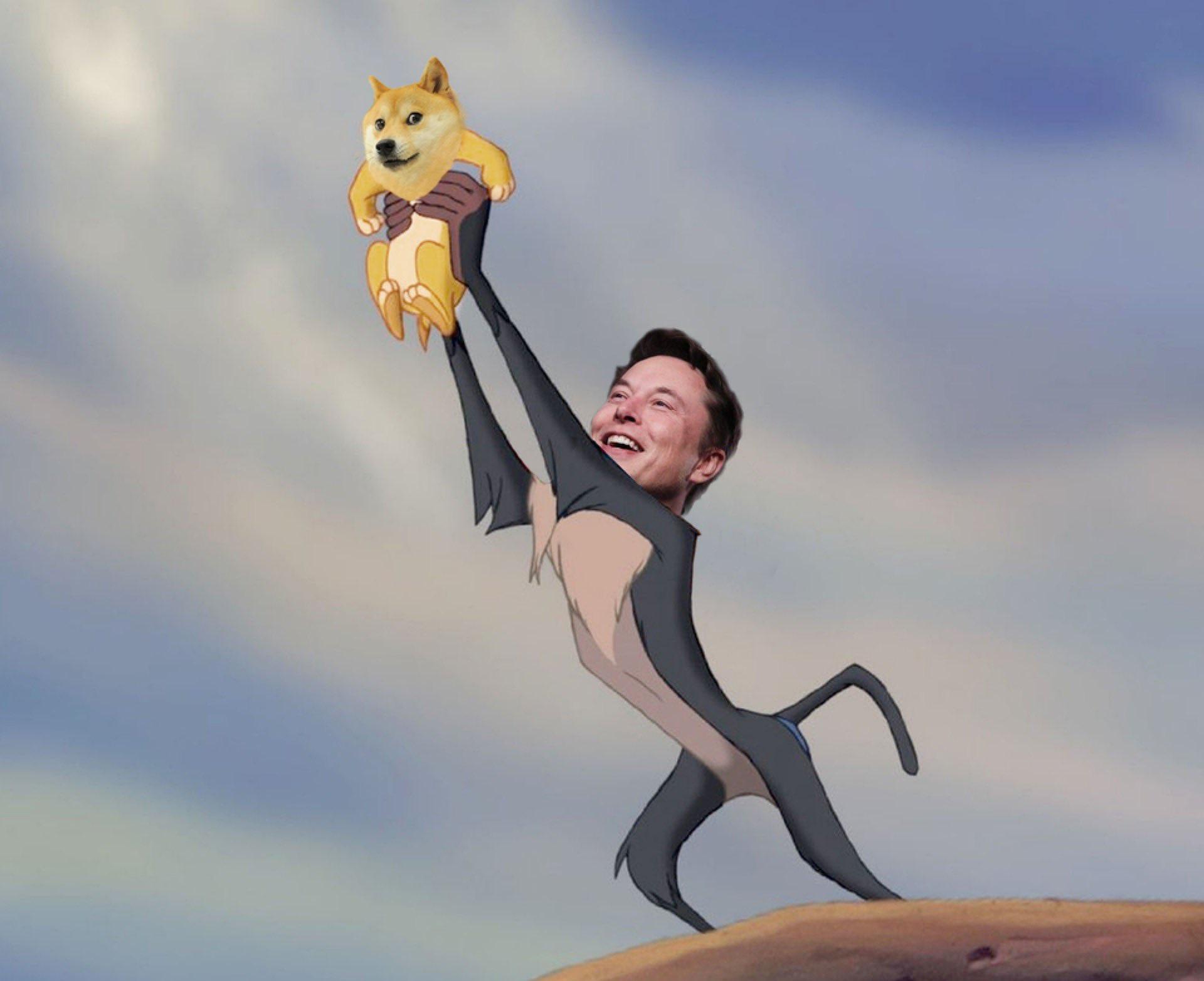 Many memes have popped up featuring Elon Musk and this cryptocurrency