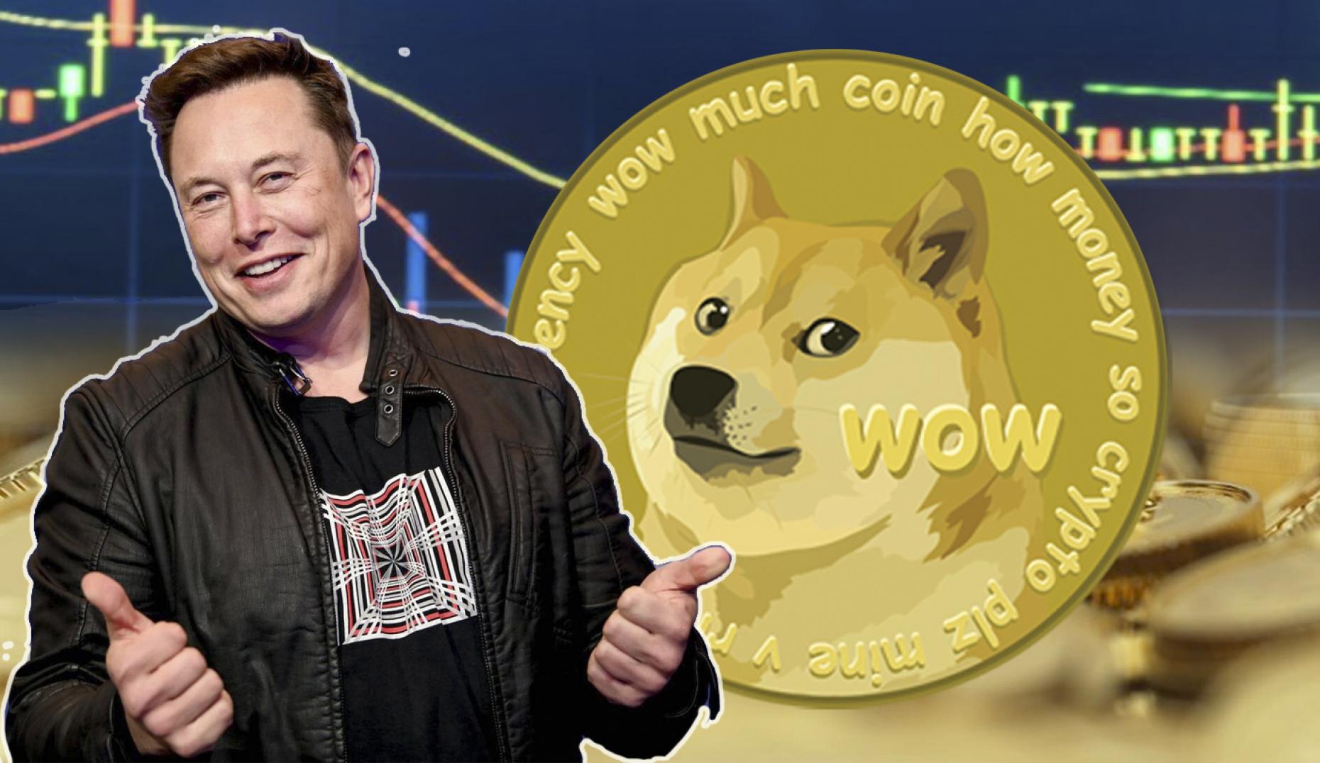 Elon Musk still deeply attached to Dogecoin