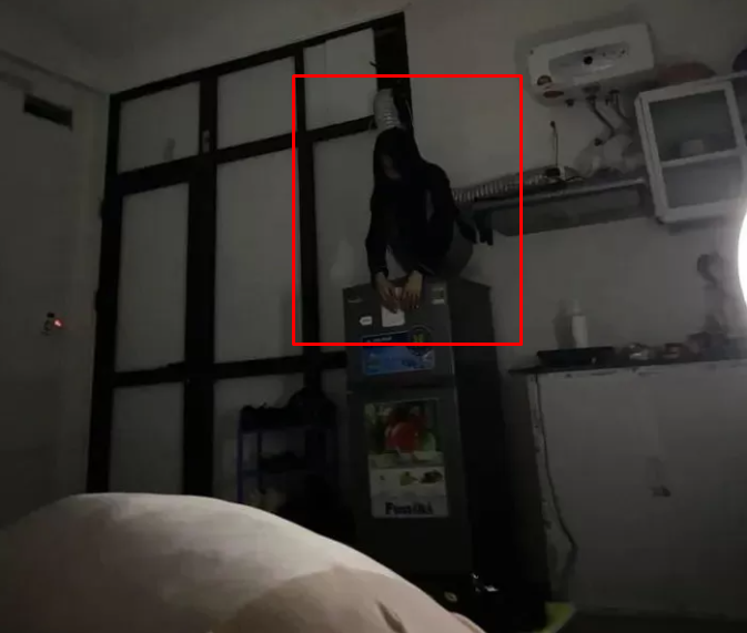 Guy Wakes Up to Girlfriend Sitting on Fridge, Freaks Out and Asks Internet for Help 3 Many would be scared seeing this image