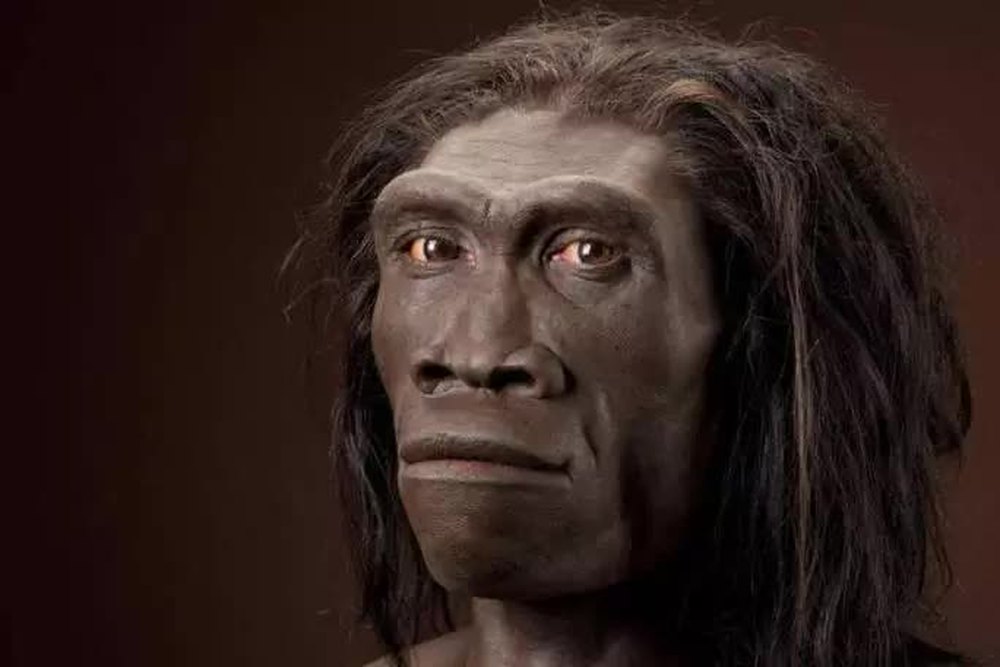 Homo erectus 'ape-man': Upright but with many ancient ape-like facial features - Photo: SMITHSONIAN MAGAZINE